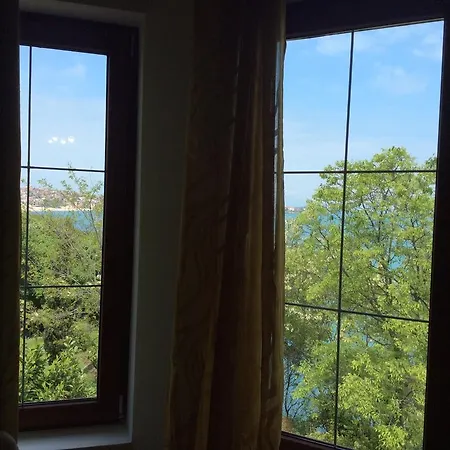 Paradise View